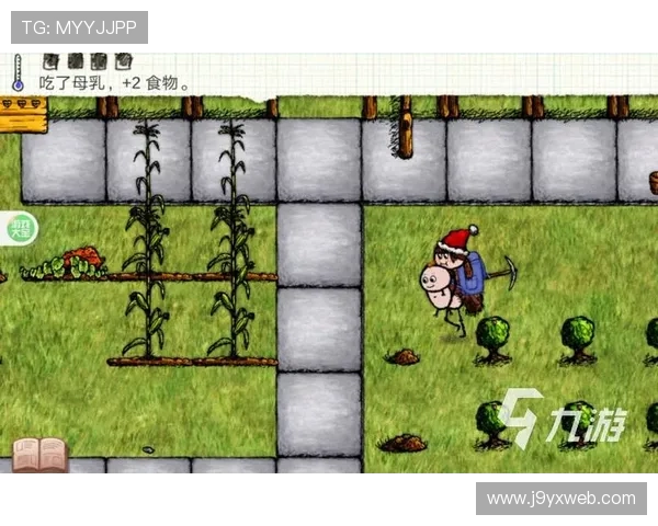 避免游戏风险，教你如何快速找到九游娱乐的官方地址链接